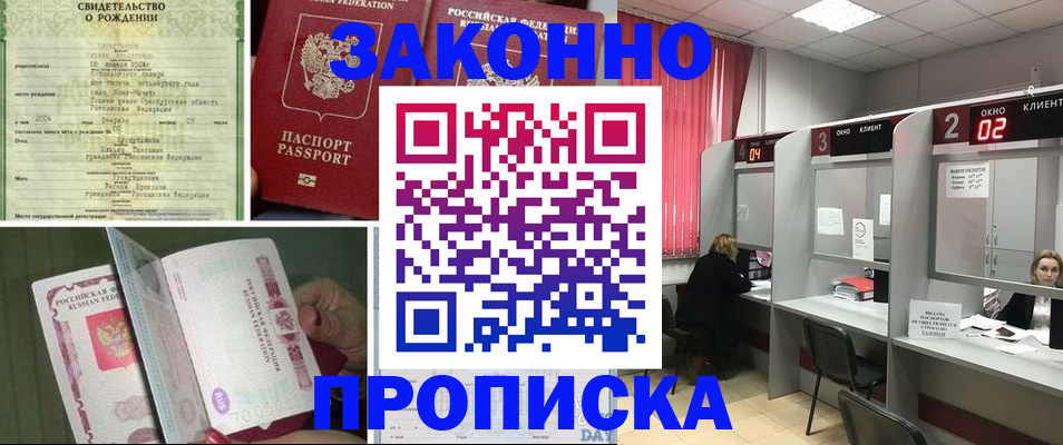временная регистрация госуслуги в Димитровграде